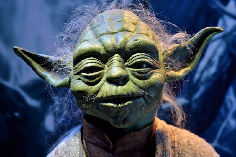 the force